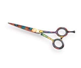 Professional Hair Cutting Scissors